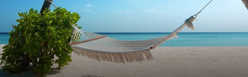 Header background image